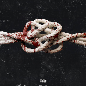 色哟哟在线观看入口
