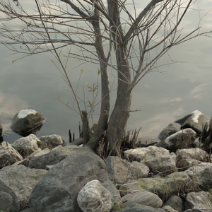 色哟哟在线观看入口
