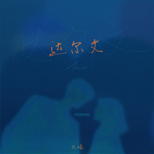 色哟哟在线观看入口
