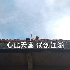 色哟哟在线观看入口
